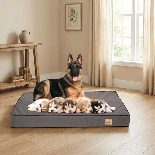 Matelas Orthopédique Imperméable — Plat et Antidérapant