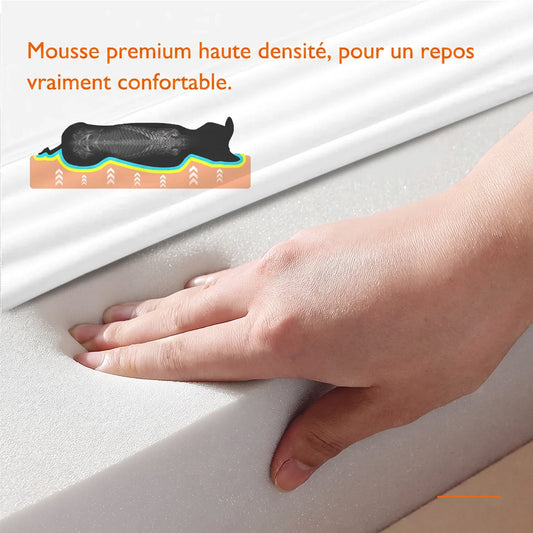 Canapé Orthopédique Premium — Rebords Moelleux