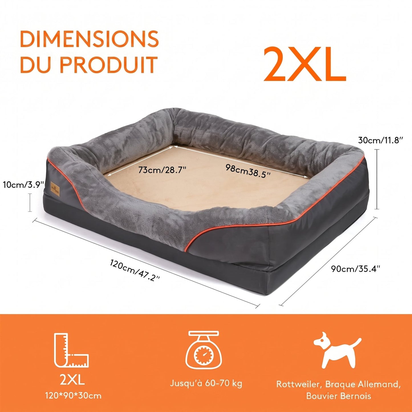 Canapé Orthopédique Premium — Rebords Moelleux
